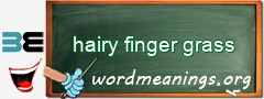 WordMeaning blackboard for hairy finger grass